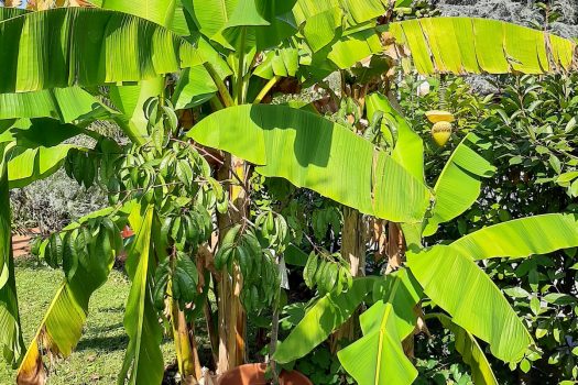 Hotel-Chiara-Sirmione