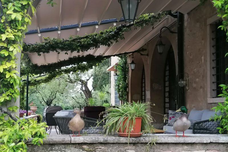 Villa-Paradiso-sirmione-6