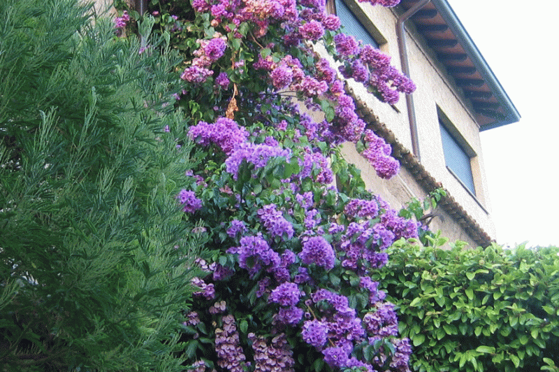 villa-paradiso-sirmione