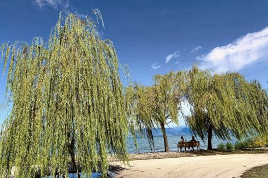 Casa Patrizia Sirmione-8