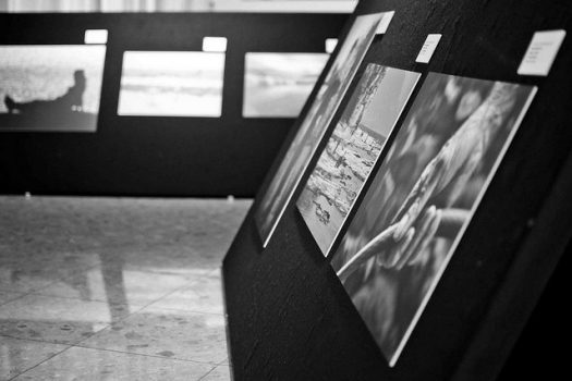 Mostra fotografica Extra Large Sirmione